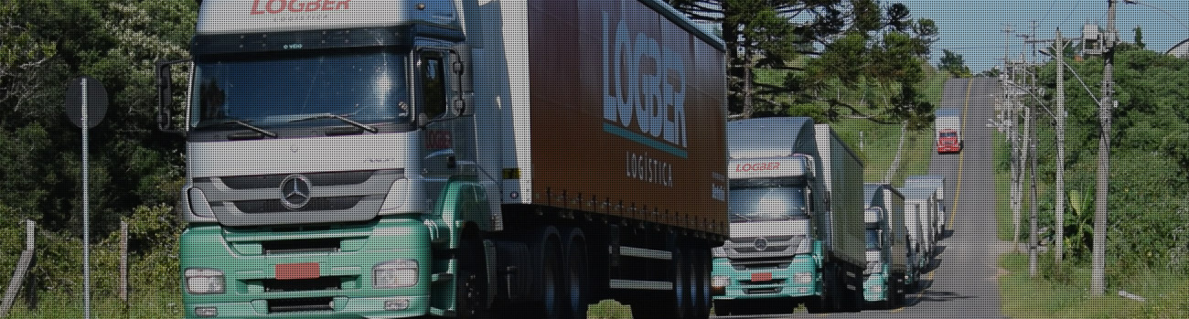 Áreas de Atuação da LOGBER